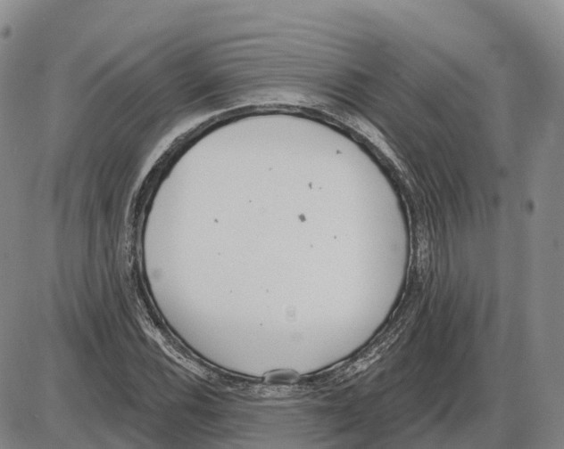 X0000085081116200704021429