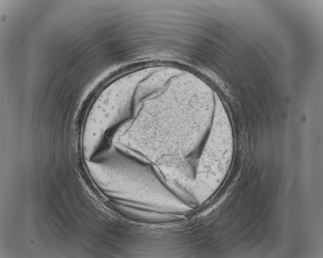 X0000085081118200704021429