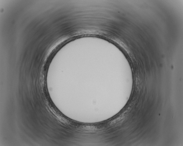 X0000085081119200704021429