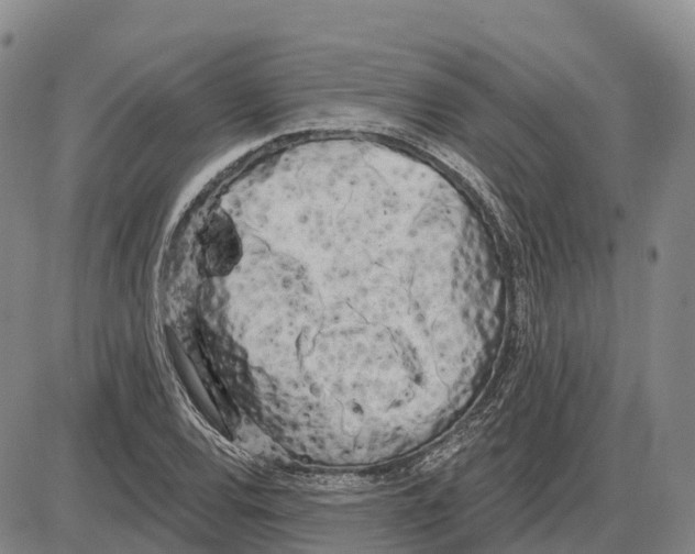 X0000085081120200704021429