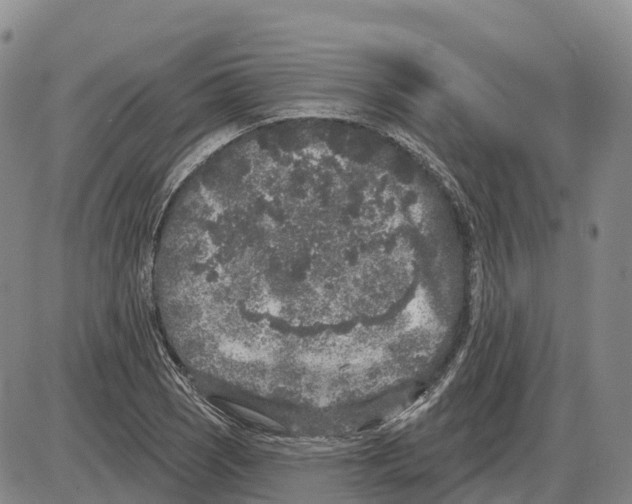 X0000085081121200704021430