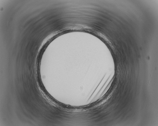 X0000085081122200704021430