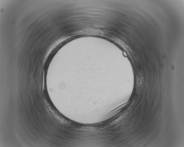 X0000085081123200704021430