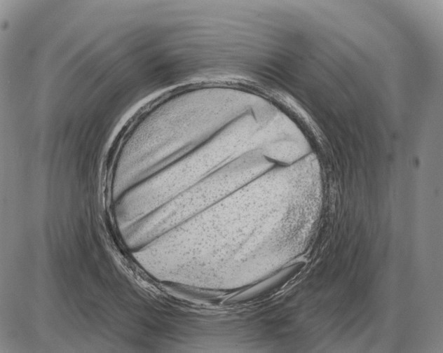 X0000085081124200704021430