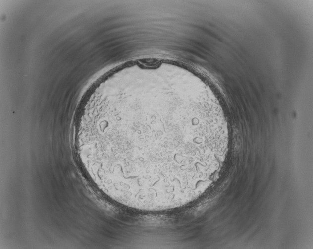 X0000085081125200704021430