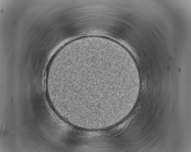 X0000085081126200704021430