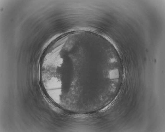 X0000085081127200704021430