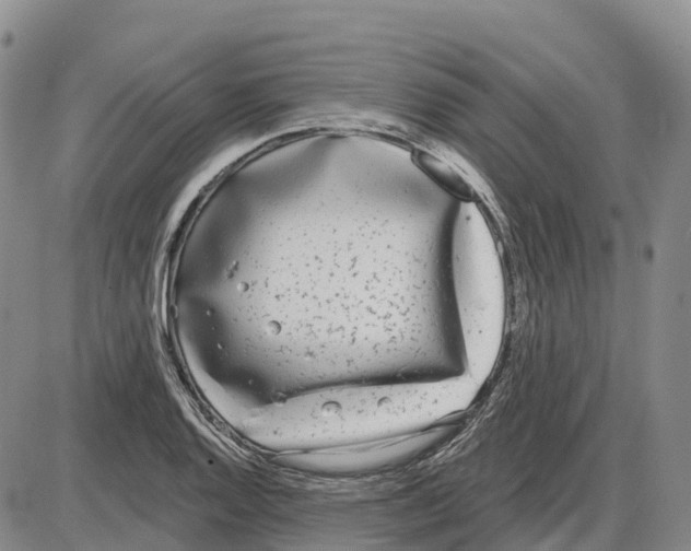 X0000085081128200704021430