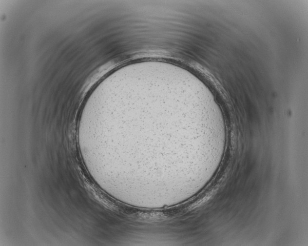 X0000085081129200704021430