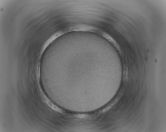 X0000085081130200704021430