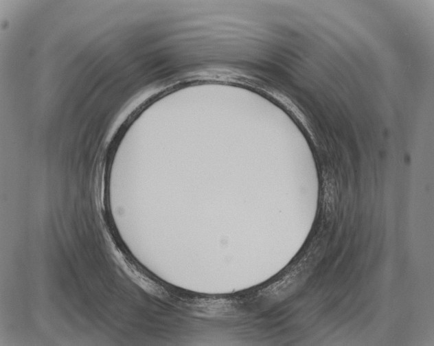 X0000085081131200704021430