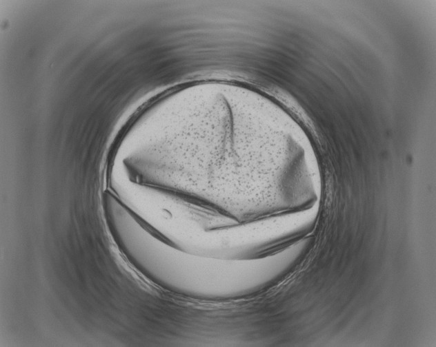 X0000085081132200704021430