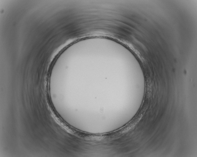 X0000085081134200704021430