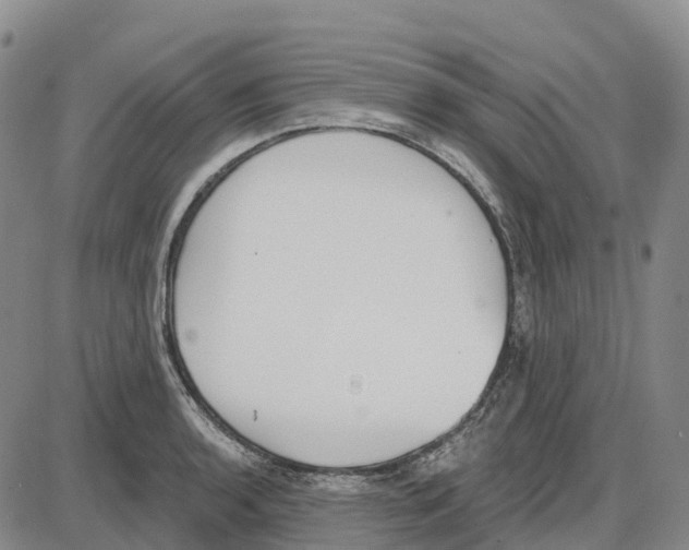 X0000085081136200704021430