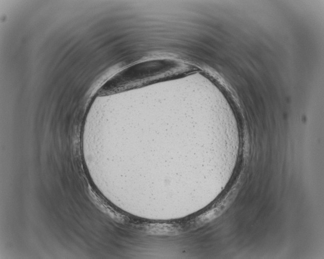 X0000085081137200704021430