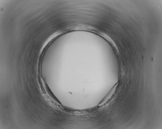 X0000085081138200704021430