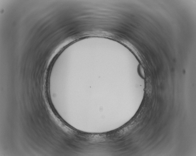 X0000085081139200704021430