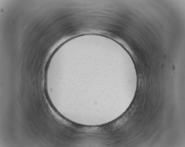 X0000085081143200704021430