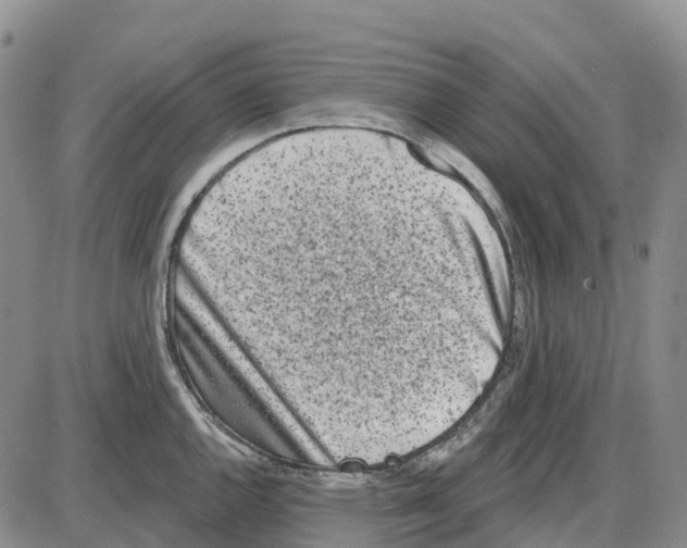 X0000085081144200704021430