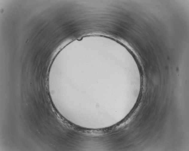 X0000085081145200704021430