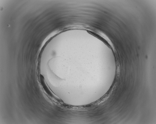 X0000085081146200704021430