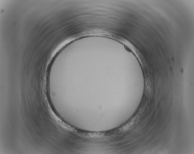 X0000085081147200704021430