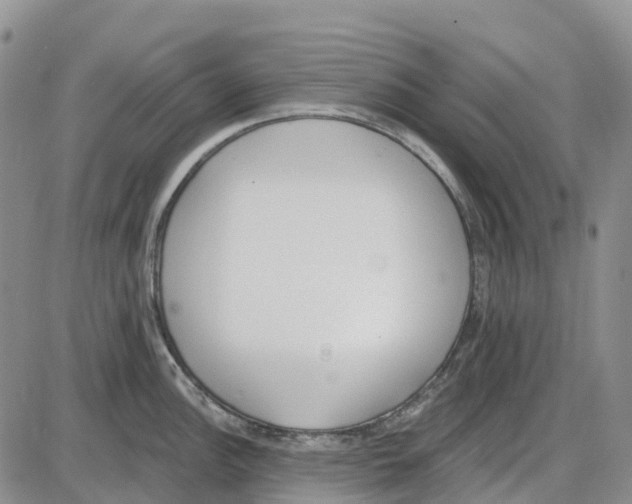 X0000085081148200704021430