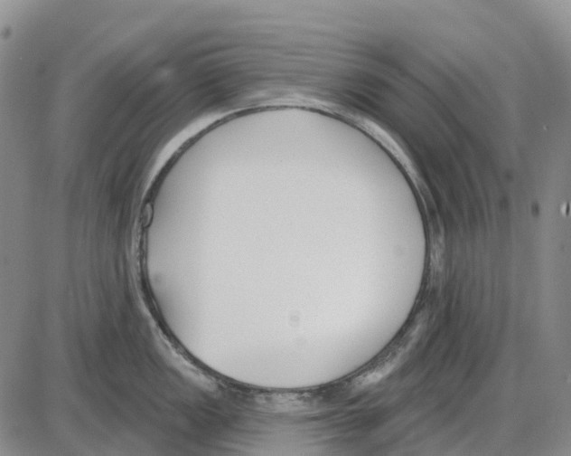 X0000085081149200704021430