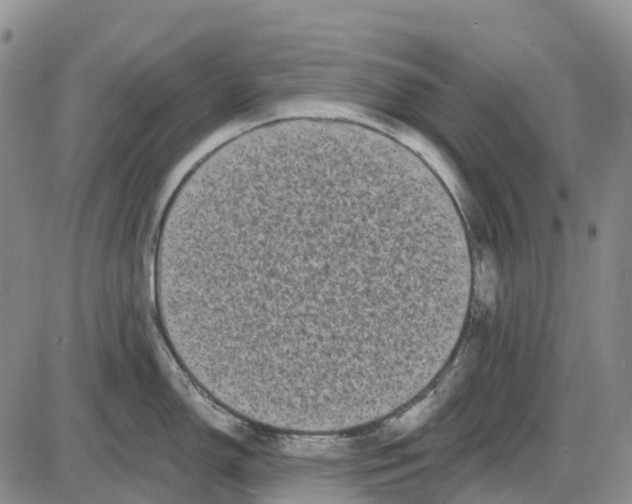 X0000085081150200704021430