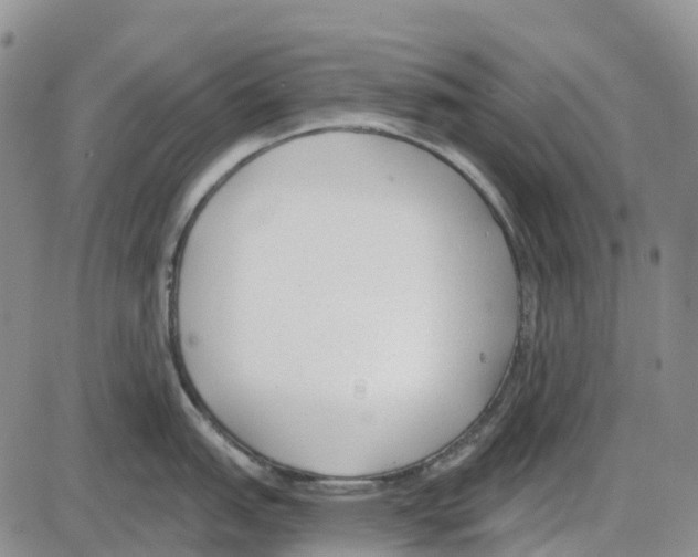 X0000085081151200704021430