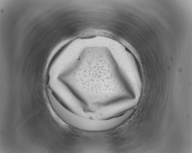 X0000085081152200704021430