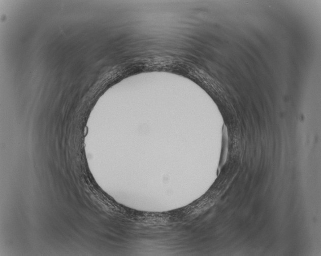 X0000085081153200704021429