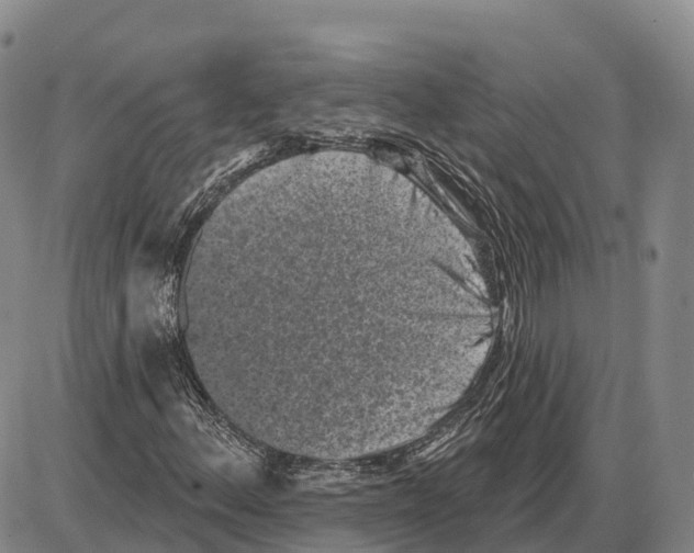 X0000085081156200704021429