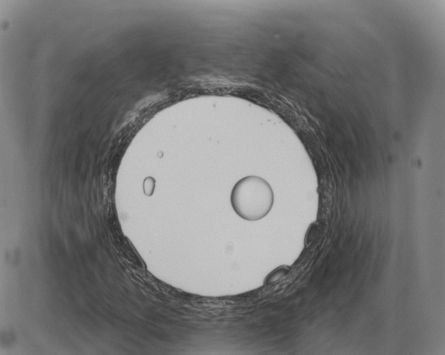 X0000085081157200704021429