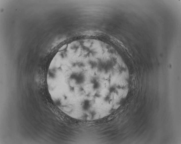 X0000085081158200704021429