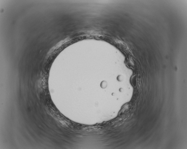 X0000085081159200704021429