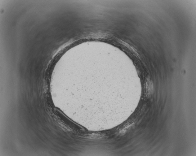 X0000085081160200704021429