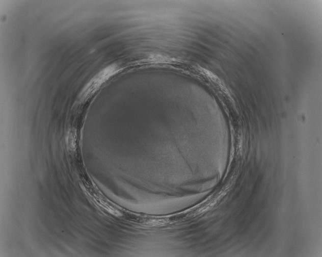 X0000085081161200704021429