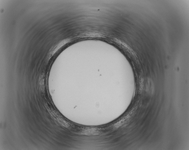 X0000085081162200704021429