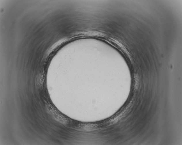 X0000085081163200704021429