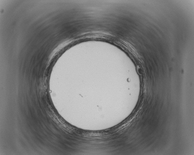 X0000085081164200704021429