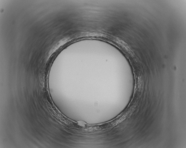 X0000085081165200704021429