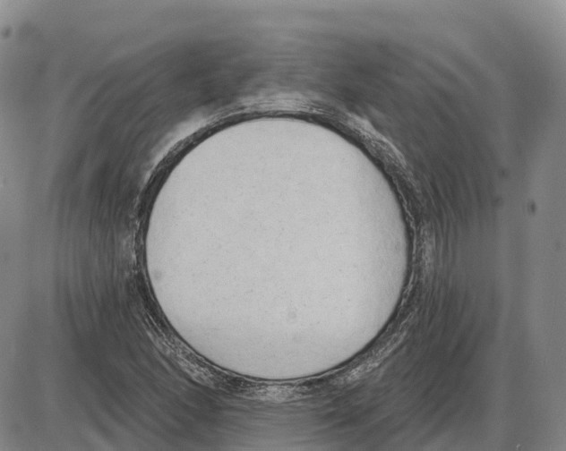 X0000085081166200704021429