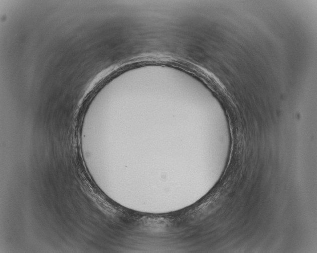 X0000085081168200704021429