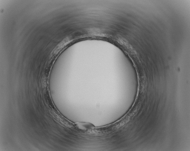 X0000085081169200704021429