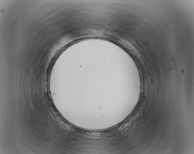 X0000085081172200704021429