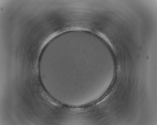 X0000085081173200704021429