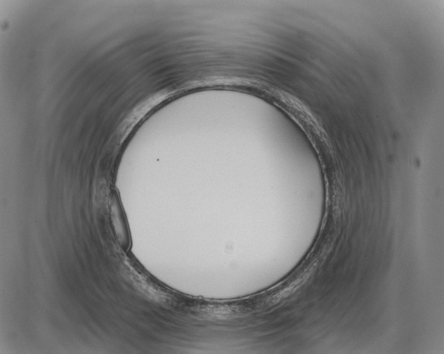 X0000085081177200704021429