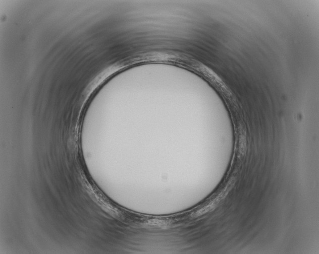 X0000085081178200704021429