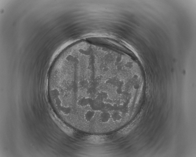 X0000085081179200704021429